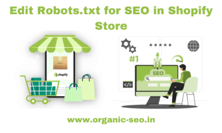How to use robots.txt file in Shopify